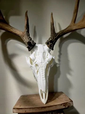 Adorno temático: Broadhead 2.0 Full Deer Skull - BAS Antler Mount — vista de referencia 5