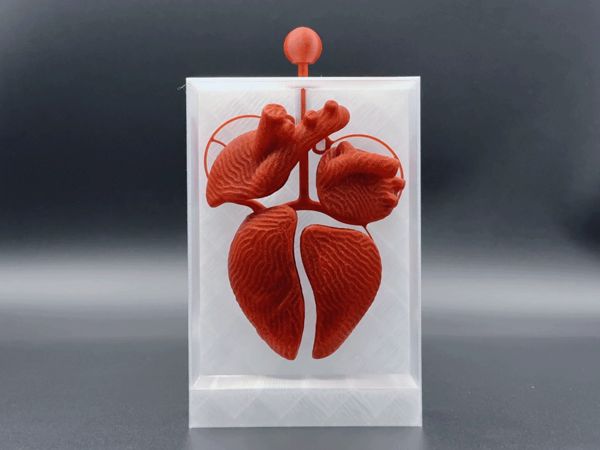 https://makerworld.bblmw.com/makerworld/model/US15863b1b0672ba/design/2025-06-06_9ae59da5620c4.gif