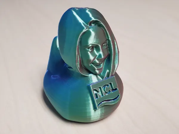 https://makerworld.bblmw.com/makerworld/model/US1589975d4e691f/design/2025-04-17_7ded1a85bdddf.jpg