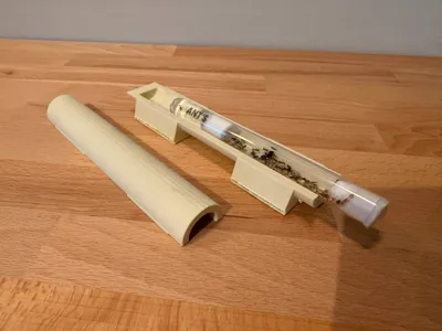Simple Ant Test Tube Holder