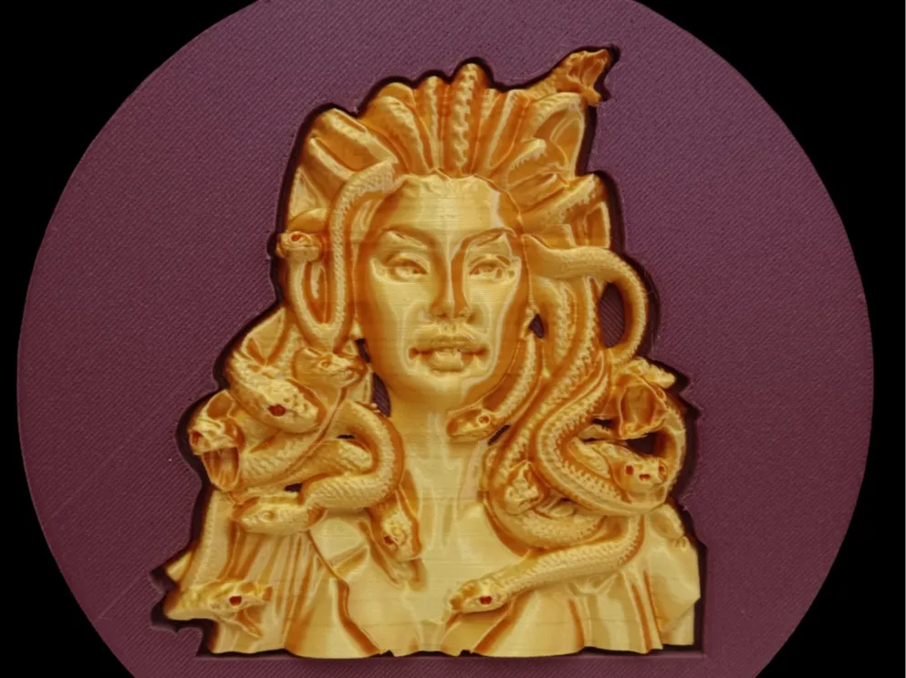 Incased ELEGANT INCASED JELLYFISH - Free 3D Print Model - MakerWorld