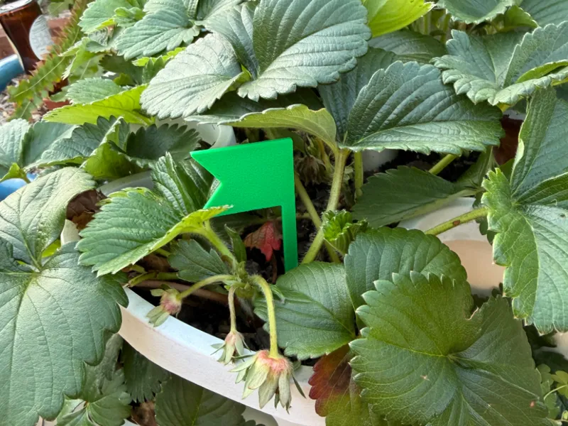 Small Garden Marking/Landscaping Flag