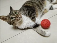 A款小内孔