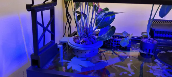 https://makerworld.bblmw.com/makerworld/model/US159666484cbef/design/2025-03-25_lc0uj6fk4afq.jpg