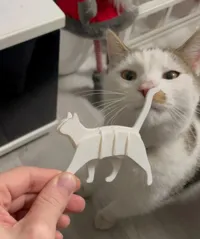 Carte puzzle chat qui marche — photo 1