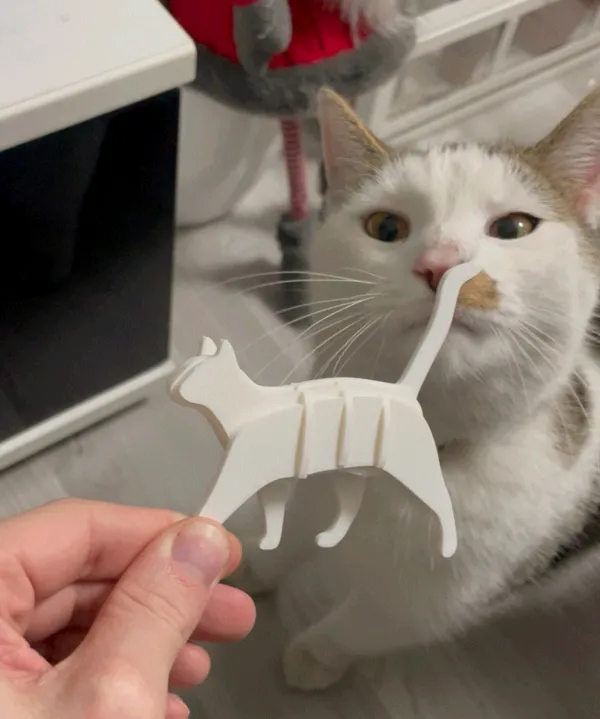 Carte puzzle chat qui marche