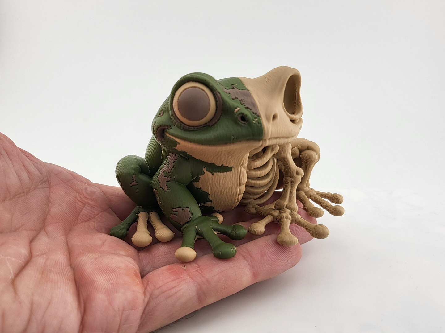Frog Skeleton | Gothic Amphibian Creature ams - 1