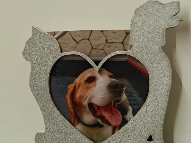 cornice per animali domestici 