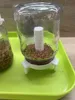 0.2mm layer, 3 walls, 15% infill