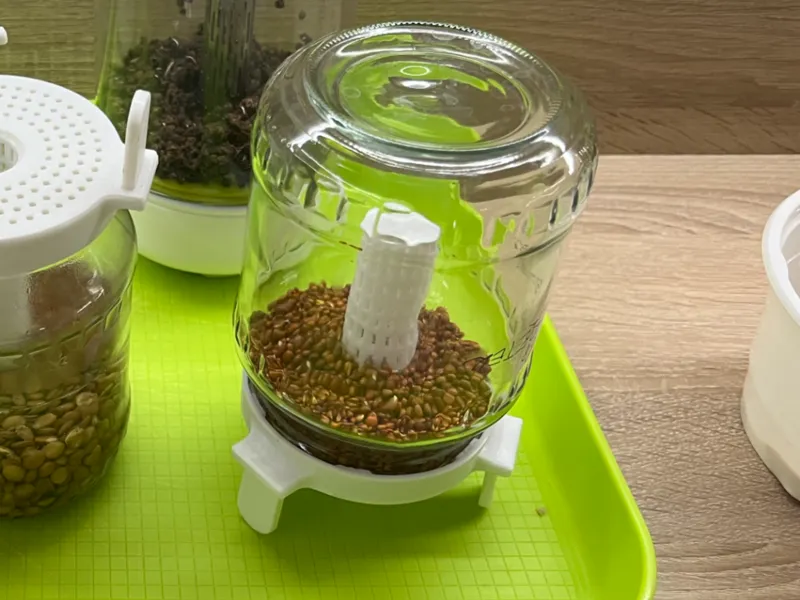 Sprouting Lid - 82 mm Jar