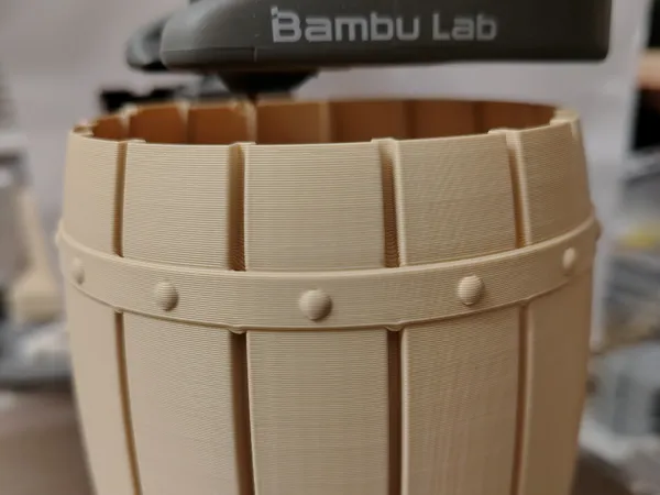 https://makerworld.bblmw.com/makerworld/model/US15a5156b202709/design/2025-03-18_47246621bd663.jpg