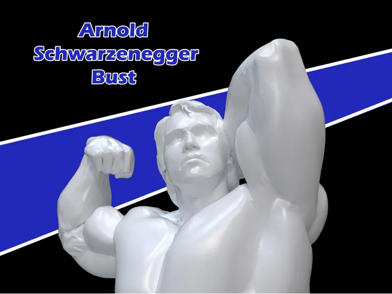 Arnold Schwarzenegger Bust 3d model