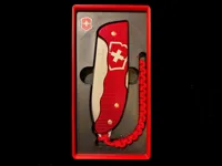 Victorinox Evoke Aloe - 0.24mm layer, 3 walls, 10% infill