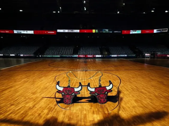 Chicago bulls earrings