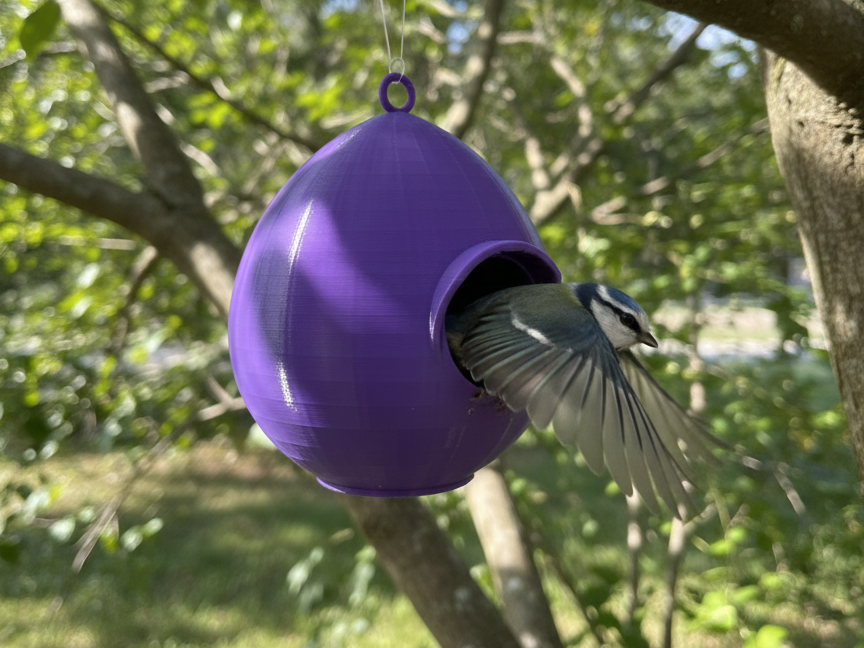 Teardrop Bird Sanctuary Nest House