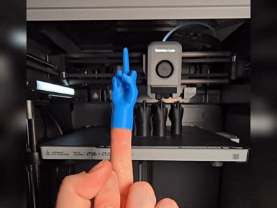 Middle Finger²