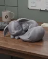 0.2mm layer, 2 walls, 10% infill