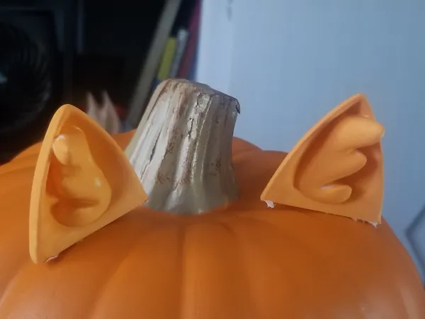 https://makerworld.bblmw.com/makerworld/model/US15b00093de7a02/design/2024-10-30_47044b88e72888.jpg