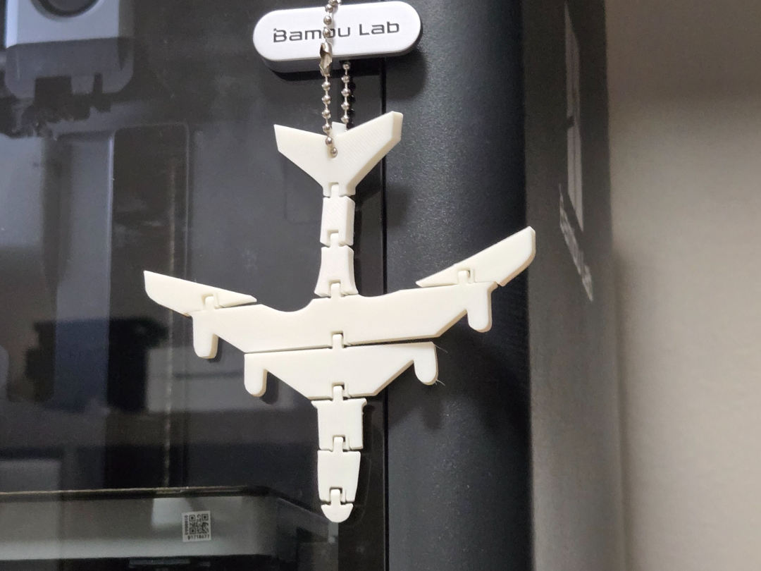 Flexi Airplane Bag Tag