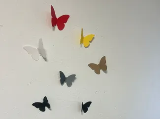 MARIPOSAS MUESTRARIO