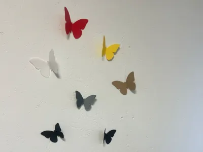 BUTTERFLY SAMPLE DISPLAY