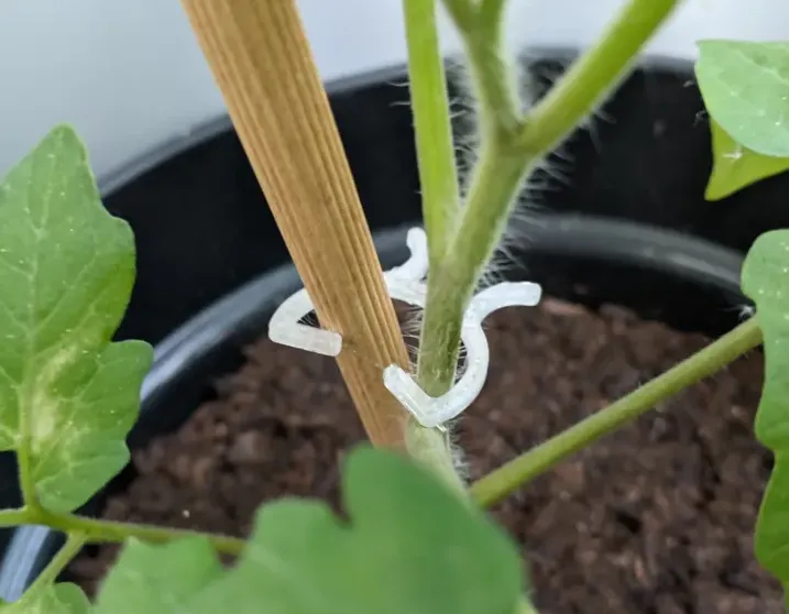 clips for plants