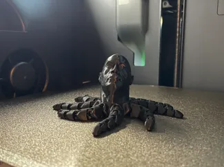 The Rocktopus