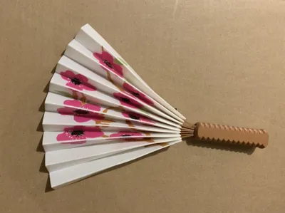 Floral Hand Fan