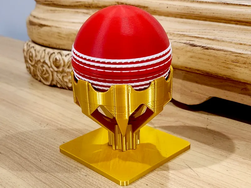 Cricket Ball Container