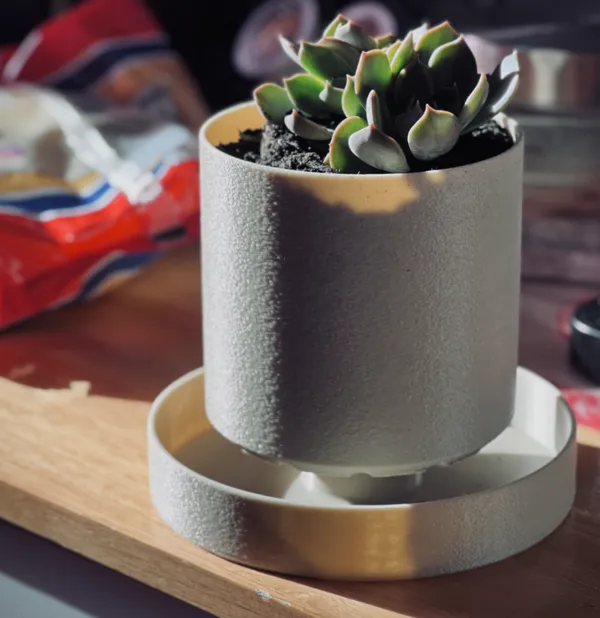 https://makerworld.bblmw.com/makerworld/model/US15bf587925c66/design/2024-09-21_815e85a17c5bd.jpg