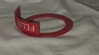Name tag only (No number bump)