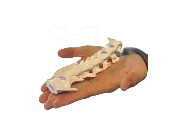 https://makerworld.bblmw.com/makerworld/model/US15c1e68e277a27/design/5ea4012c544a4a73.png
