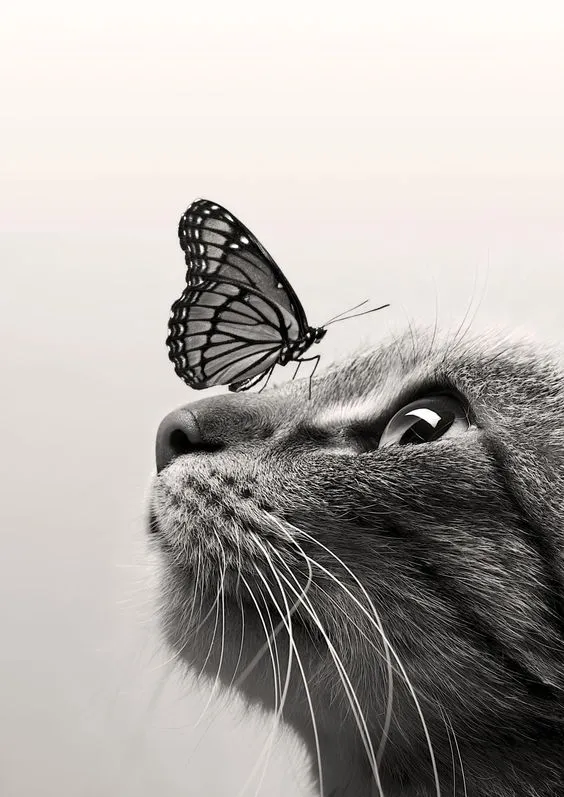 Butterfly Cat Hueforge