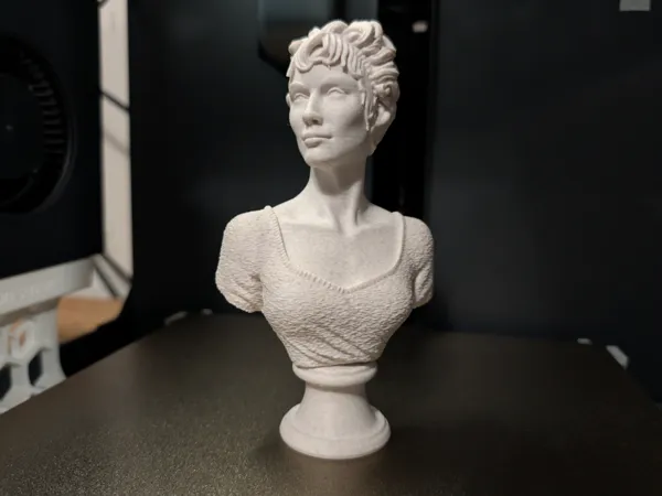 https://makerworld.bblmw.com/makerworld/model/US15c9182e62956e/design/2025-11-21_212143aefd0538.jpg