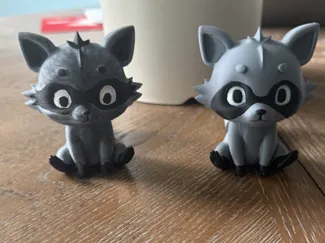 Racoon