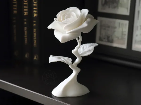 https://makerworld.bblmw.com/makerworld/model/US15cca714d9a0e1/design/2025-05-15_fea1af078caed8.jpg