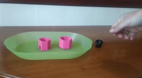 https://makerworld.bblmw.com/makerworld/model/US15ccd4d16d848/design/2025-01-06_630021a7f9ea5.gif