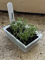 Microgreen module 0.24mm layer, 2 walls, 20% infill