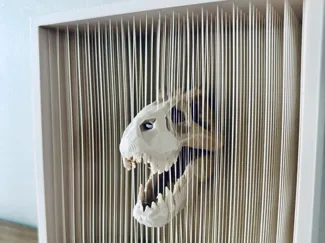 T-Rex String Art Minimal Version