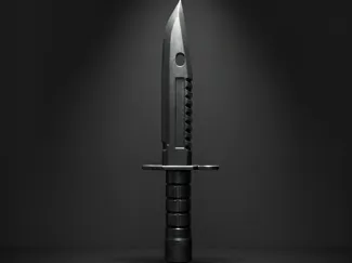Bayonet Knife