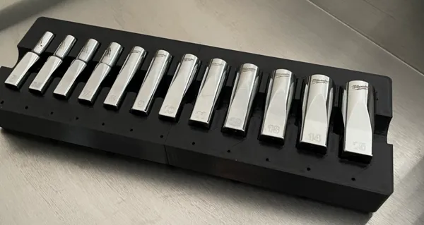 https://makerworld.bblmw.com/makerworld/model/US15d948b3ee2168/design/2024-08-02_20988fe62f555.jpg