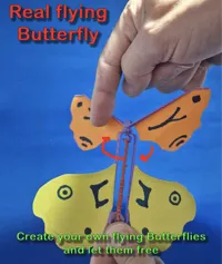 Papillon volant articulé — photo 2