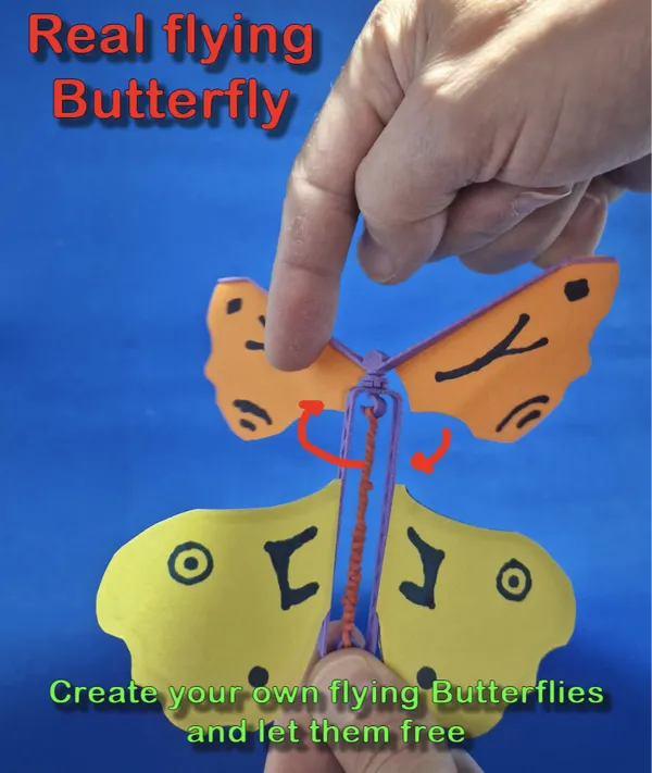 Papillon volant articulé