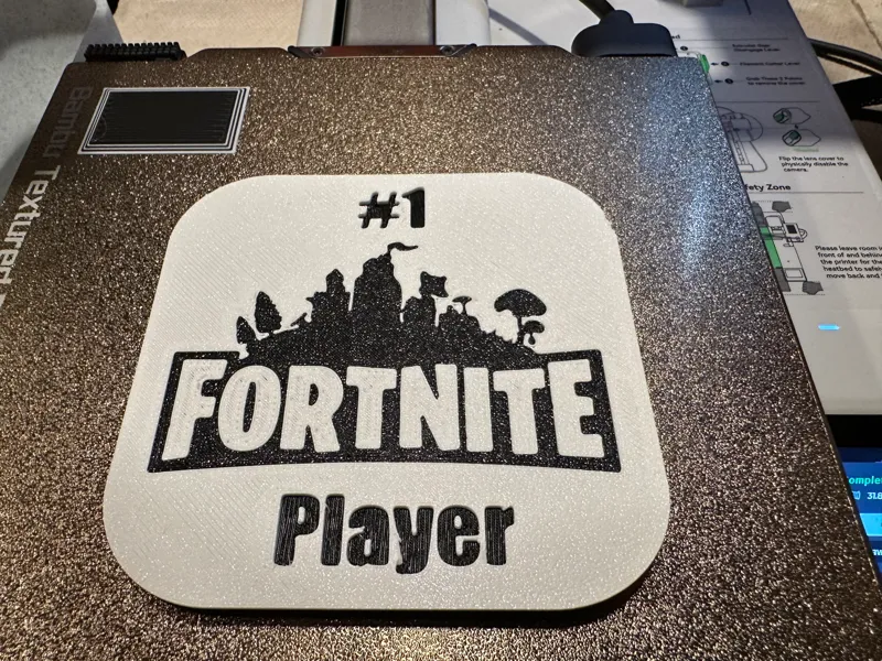 Fortnite Coaster