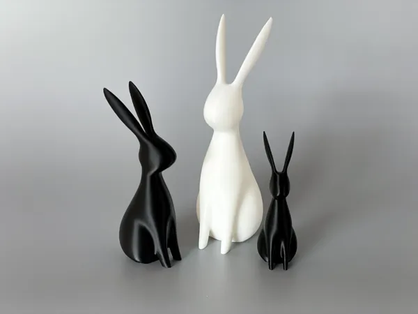 https://makerworld.bblmw.com/makerworld/model/US15dd9fea1b92ef/design/2025-01-24_856a5421450ca.jpg