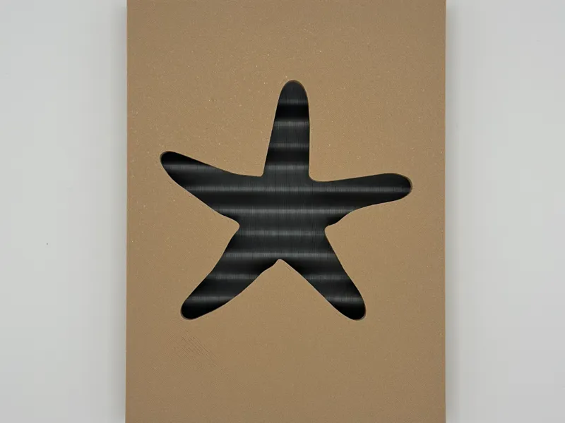 Maritime Wanddekoration (Seestern)