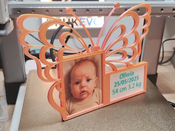Butterfly Wings Baby Frame