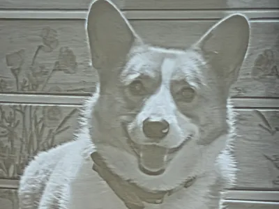 Corgi lithophane
