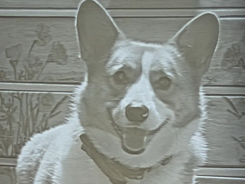 Corgi lithophane