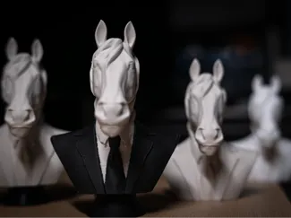 穿西装的马(A horse wearing a suit)